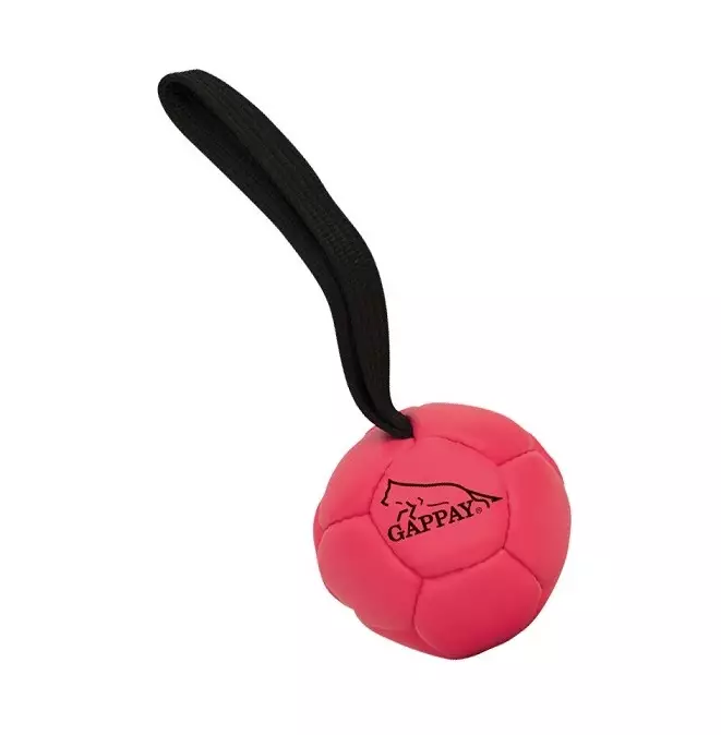 Gappay Eco-leather vinkuva keinonahkapallo - Narupallot ja pallot - 28828 - 1