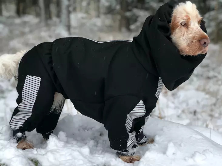 Janutex Kurahaalari kiinteällä korvahupulla, nartuille - Haalarit - 4358 - 1