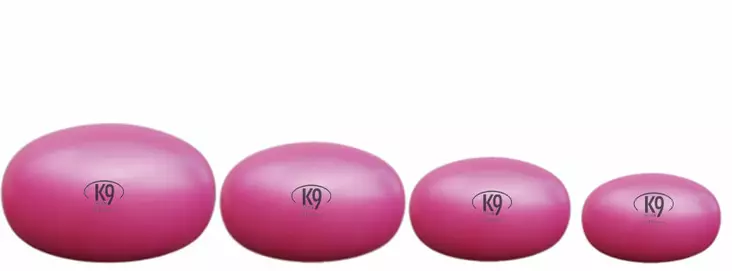 Koiran jumppapallo 55*80 cm - Jumppa- ja tasapainovälineet - 6718 - 1