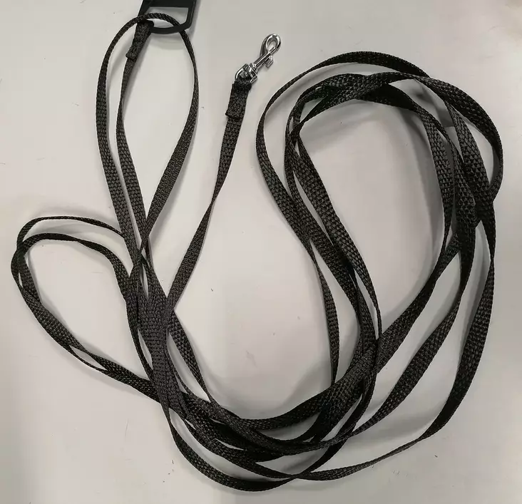 Talutin noseworkiin - Nosework - 004658 - 1