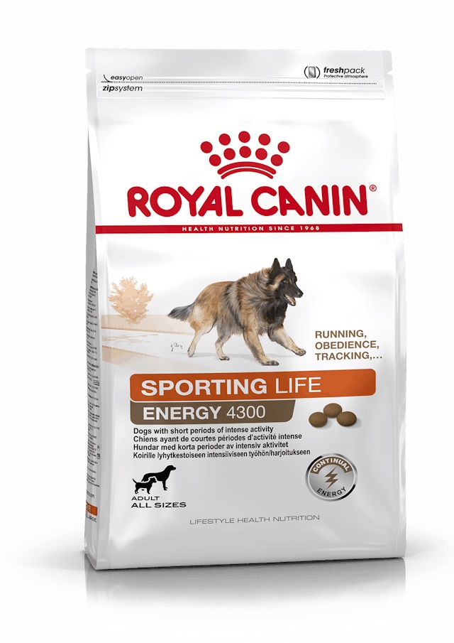Royal Canin aktiivisen koiran ruoka energy 4300 - Royal Canin - 020818 - 1