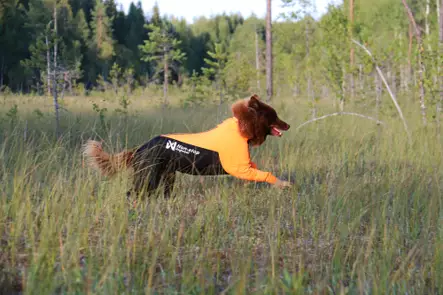 Non-Stop Dogwear Protector suit - suojahaalari, narttumalli - Haalarit - 43479 - 2