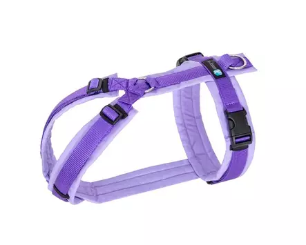 Anny-X FUN säädettävät Y-valjaat, laventeli - Koiran valjaat - 43869 - 1