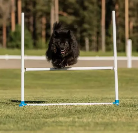 toko PVC-avohyppy - Toko - 23389 - 3