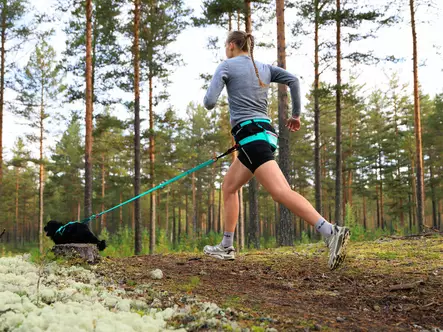 canix belt aqua-pinkki - Veto- ja valjakkourheilu - 43079 - 2