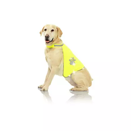 Dogsafety Heijastinliivi - Huomioliivit ja heijastimet - 5909 - 1