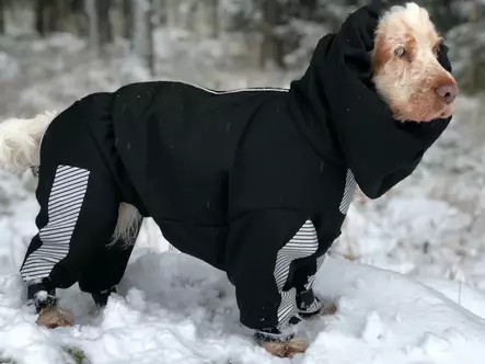 Janutex Kurahaalari kiinteällä korvahupulla, uroksille - Haalarit - 4359 - 1