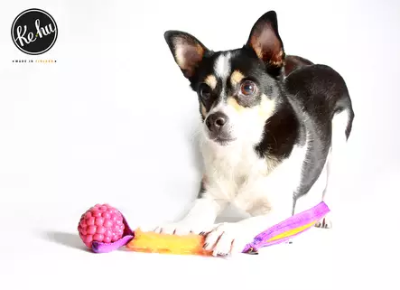 Ke-hu Vadelma - Saalis- ja vetolelut - 101839 - 2