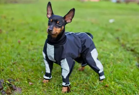 Kurahaalari nartuille - Haalarit - 103369 - 1