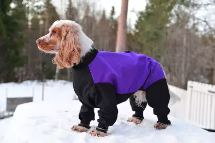 Metsähaalari urokselle lila-musta - Haalarit - 002289 - 1