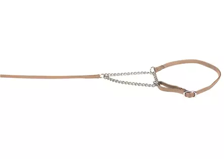 Näyttelytalutin puolikiristävällä pannalla - Näyttelytarvikkeet - 27526 - 1