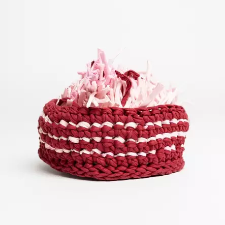 koiran aktivointi - Haistelumatot - 43829 - 1