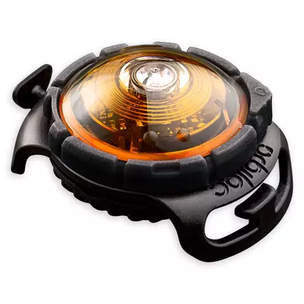 Kirkas led-huomiovalo koiralle Orbiloc - Valot ja valopannat - 101539 - 2