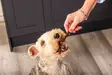 Gourmet Pure Sticks Duck - Kuivatut lihaherkut - 50369 - 3