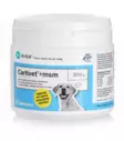 AIKA Cartivet+MSM nivelravinne koirille ja kissoille - Vitamiinit ja lisäravinteet - 002139 - 1