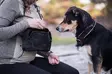 DogCoach Belt Bag tarvikelaukku - Treenitaskut ja namipussit - 40909 - 10