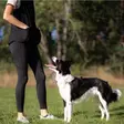 Hundlands Fave Leggings, musta - Housut - 004529 - 1