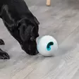 Trixie Snackball namipallo koiralle - Aktivointipallot - 27749 - 2