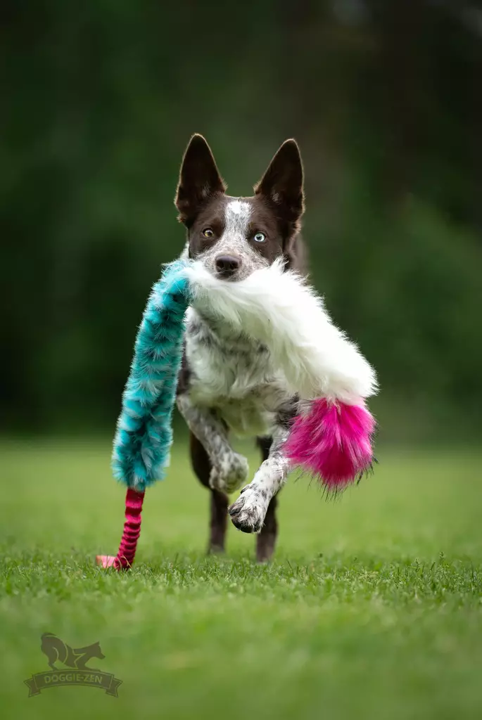 doggi-zen vetolelu keinokarvalla ja lampaannahkalla - Saalis- ja vetolelut - 44669 - 1