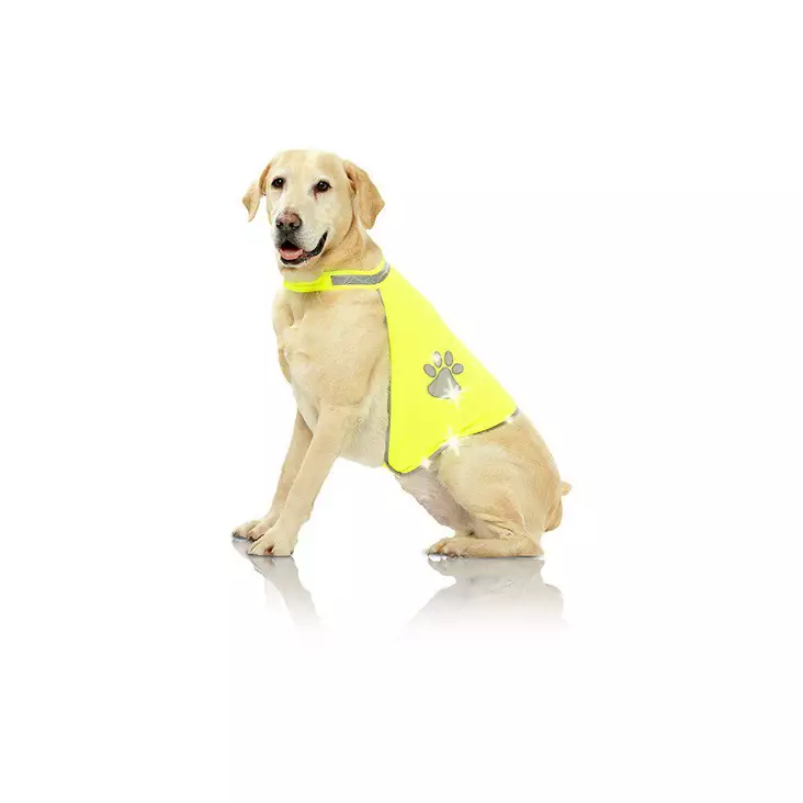 Dogsafety Heijastinliivi - Huomioliivit ja heijastimet - 5909 - 1