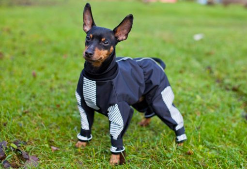 Kurahaalari nartuille - Haalarit - 103369 - 1