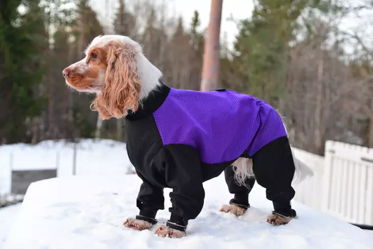 Metsähaalari urokselle lila-musta - Haalarit - 002289 - 1